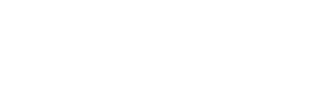 Speed Seguros